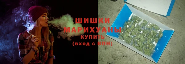mdpv Богородск