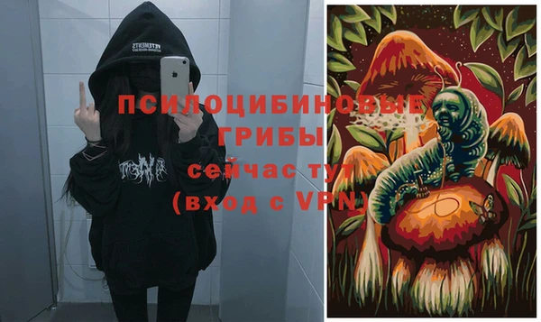 Альфа ПВП Богородицк