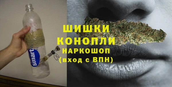 mdpv Богородск